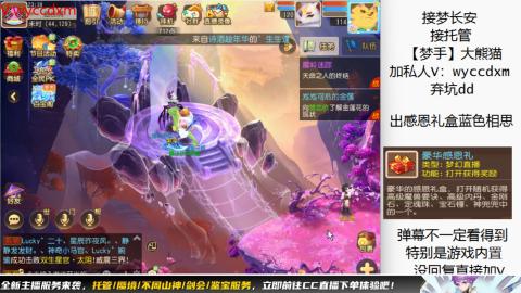 接大海龟活动最后俩天