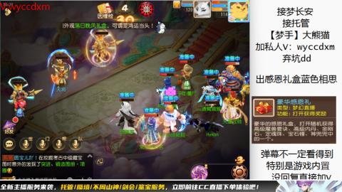 接大海龟活动最后俩天