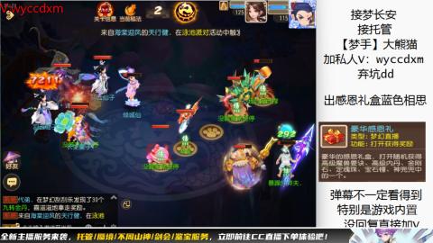 接大海龟活动最后俩天