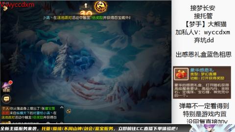 接大海龟活动最后俩天