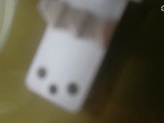 天地两茫茫的直播
