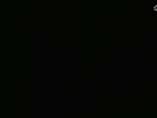 等风也等你