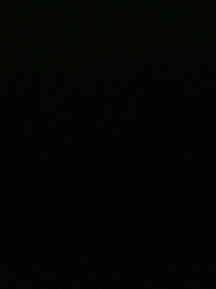 不要留下我一个人孤军奋战..
