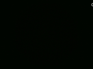 不要留下我一个人孤军奋战..
