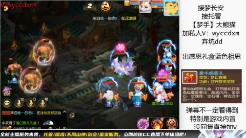 接大海龟活动最后俩天