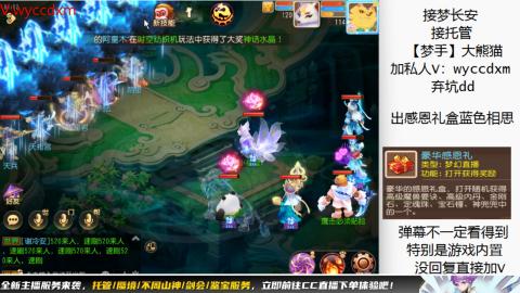 接大海龟活动最后俩天
