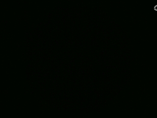不要留下我一个人孤军奋战..