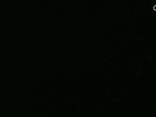 等风也等你