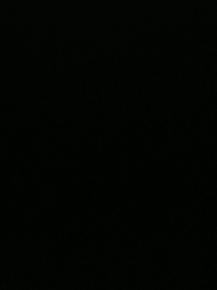 不要留下我一个人孤军奋战..