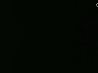 等风也等你