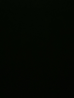 不要留下我一个人孤军奋战..