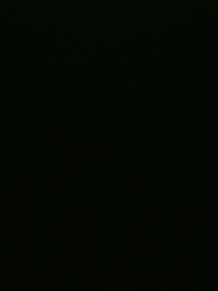 不要留下我一个人孤军奋战..
