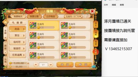 接九转蜃境托管~