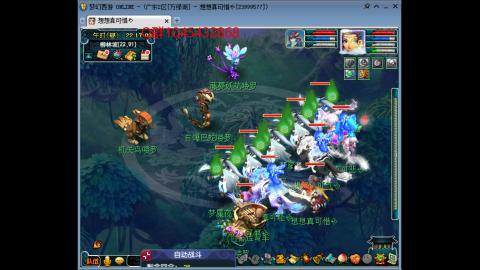 万绿湖4PT
