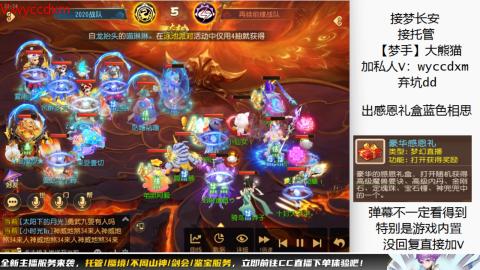接大海龟活动最后俩天