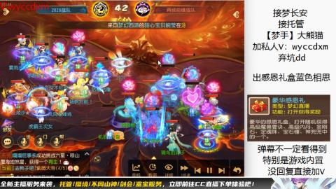 接大海龟活动最后俩天