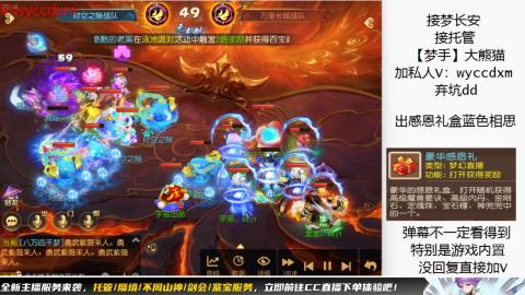 接大海龟活动最后俩天
