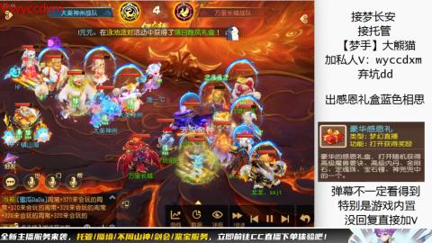 接大海龟活动最后俩天