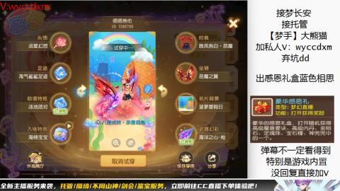 接大海龟活动最后俩天