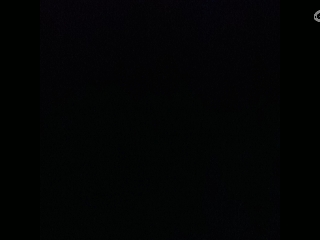 请叫我枪不黑的直播