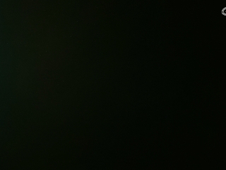 等风也等你