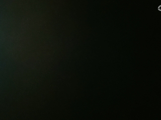 没有你 直播都乏味了