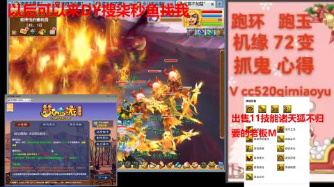 全服接 跑环 跑玉 机缘 72变 抓鬼