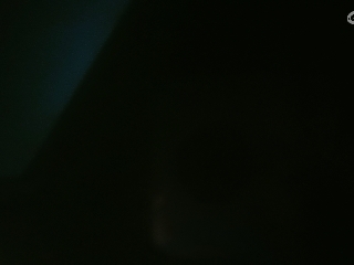 天地两茫茫的直播