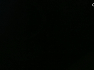 有你们相伴真好..