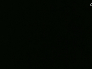 等风也等你