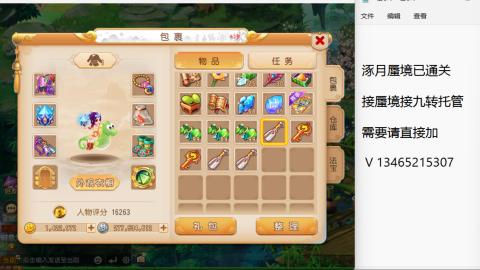 接九转蜃境托管~