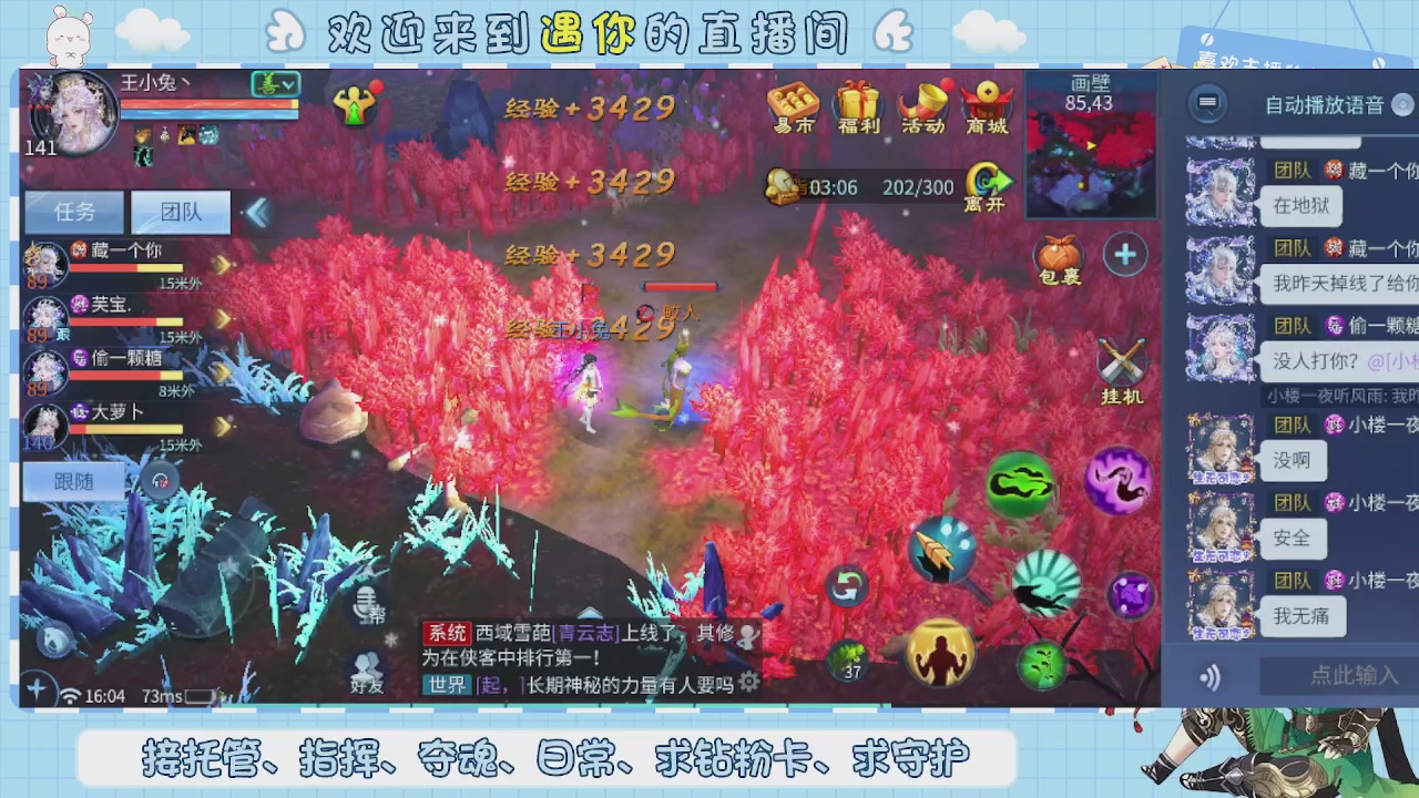 接托管-夺魂-卡龙-新区冲级