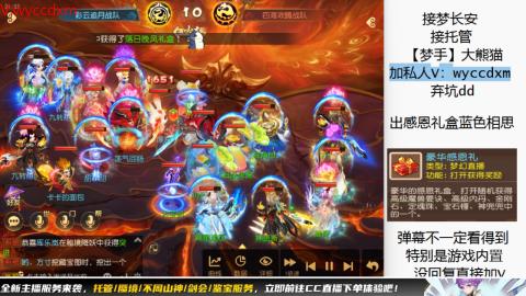 接大海龟活动最后俩天