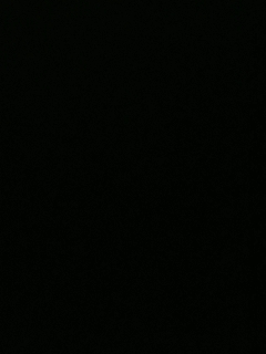 不要留下我一个人孤军奋战..