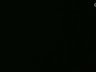 等风也等你
