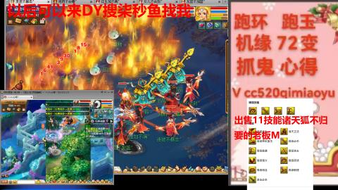 全服接 跑环 跑玉 机缘 72变 抓鬼