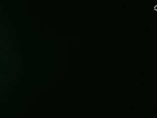 等风也等你