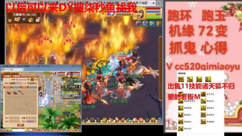 全服接 跑环 跑玉 机缘 72变 抓鬼