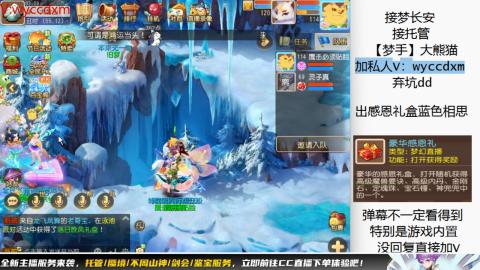 接大海龟活动最后俩天