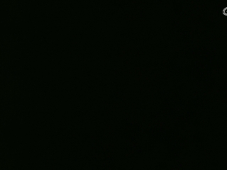 等风也等你
