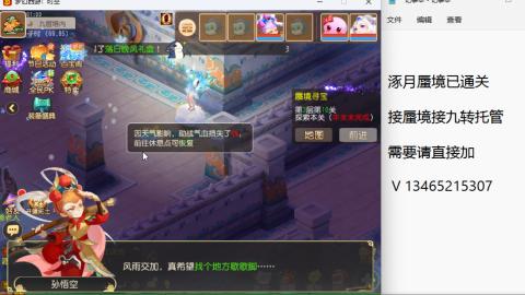 接九转蜃境托管~