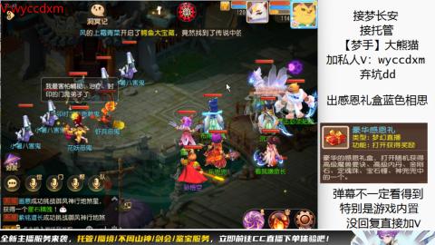 接大海龟活动最后俩天