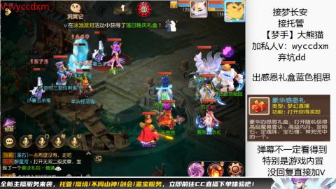 接大海龟活动最后俩天
