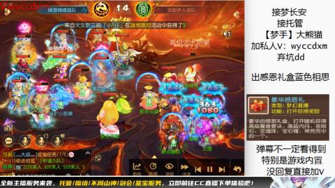 接大海龟活动最后俩天