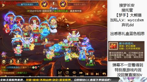 接大海龟活动最后俩天