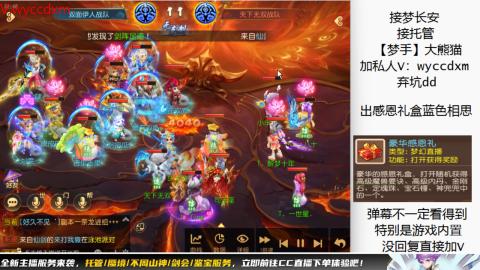 接大海龟活动最后俩天