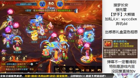 接大海龟活动最后俩天