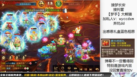 接大海龟活动最后俩天