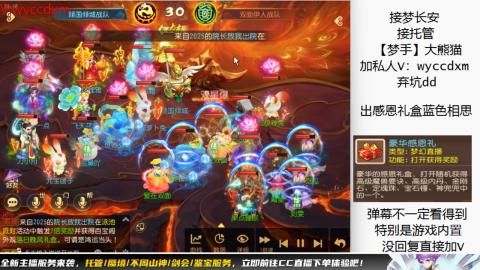接大海龟活动最后俩天