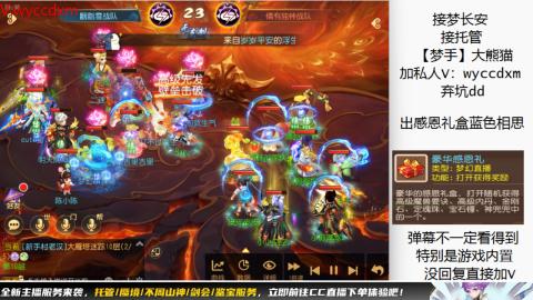 接大海龟活动最后俩天